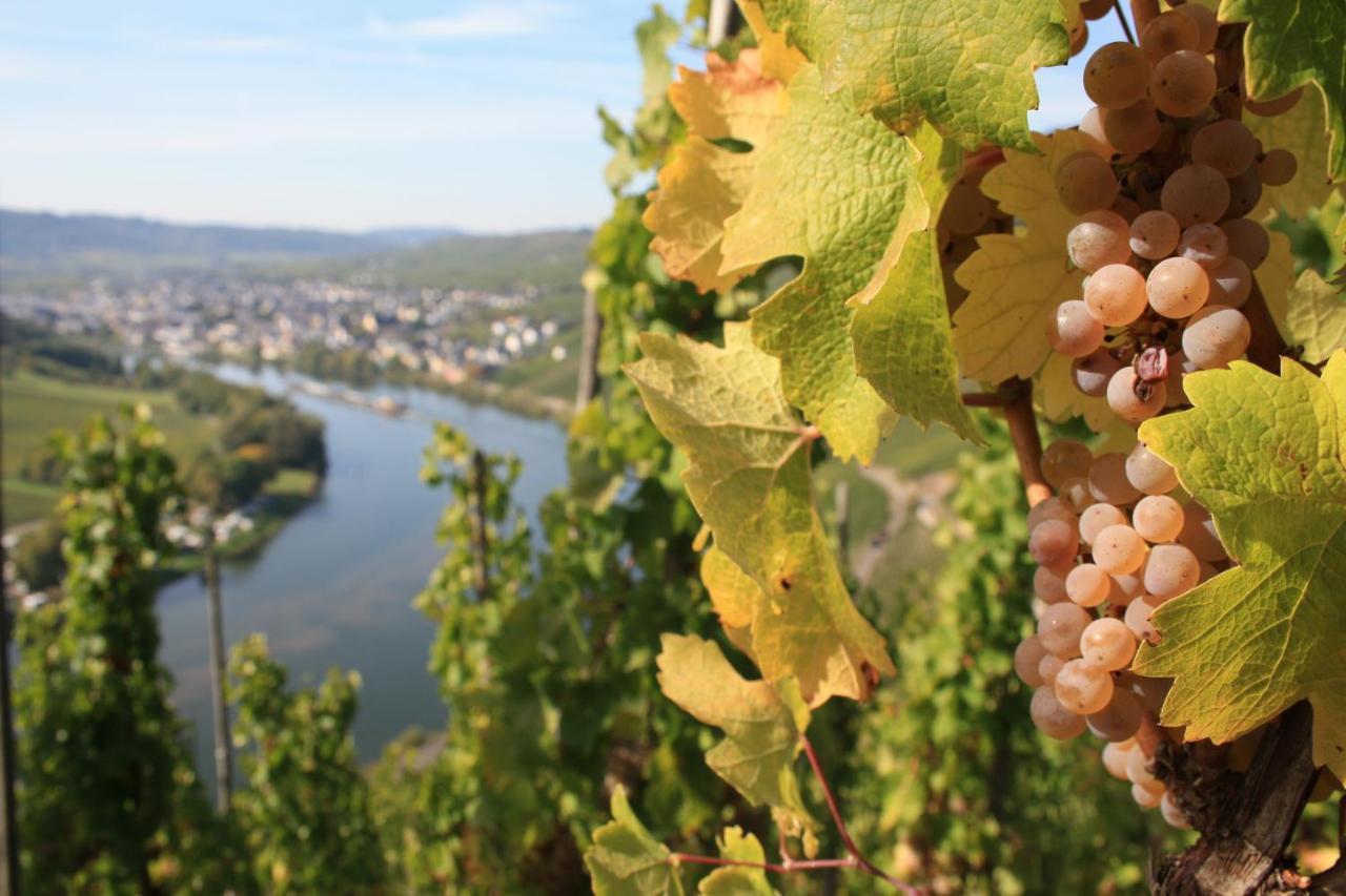 Weingut Markus Junglen Kröv Kültér fotó