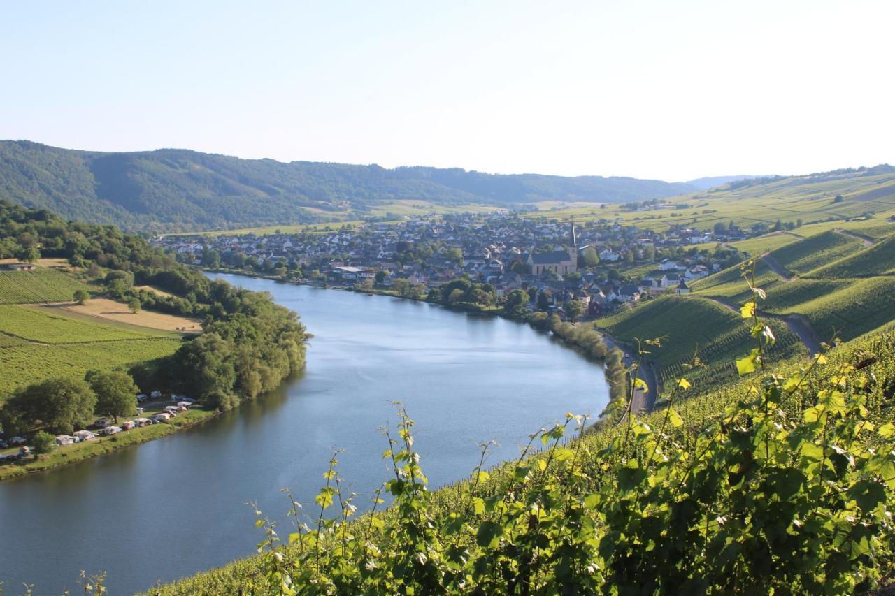 Weingut Markus Junglen Kröv Kültér fotó